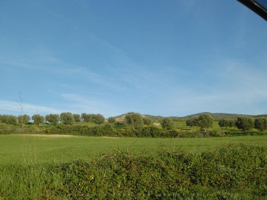 07 campagne oranaise a.JPG
